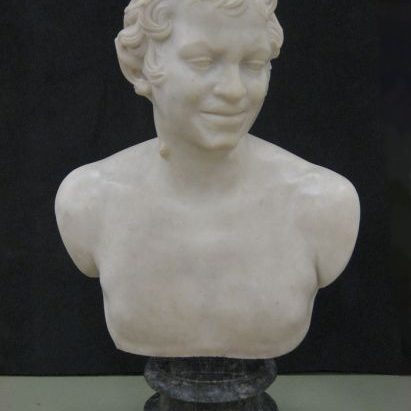 A Model of Albani Faun 